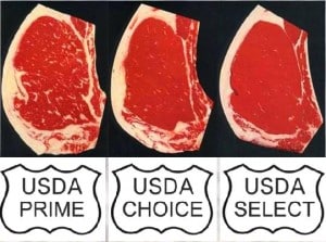 Steak Grade Chart