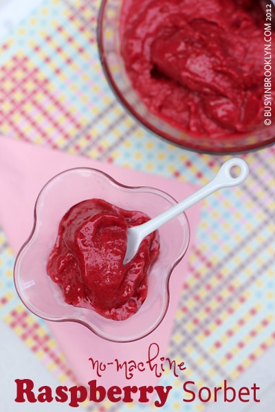 Homemade Raspberry Sorbet – Busy in Brooklyn