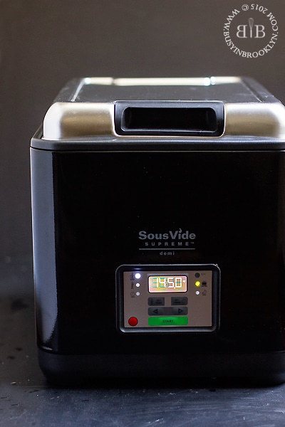 sous vide pros and cons –