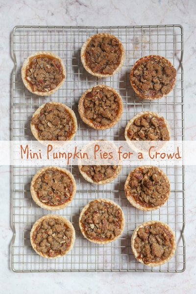 Mini Pumpkin Pies for a Crowd